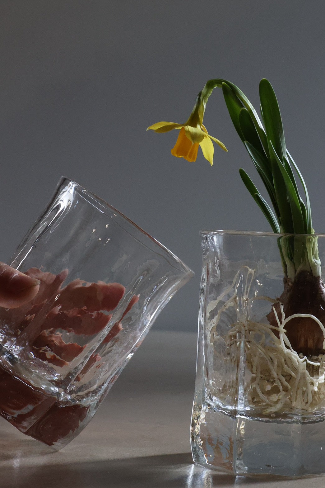 西山芳浩：No.7 八角グラス 大 – THE LITTLE SHOP OF FLOWERS