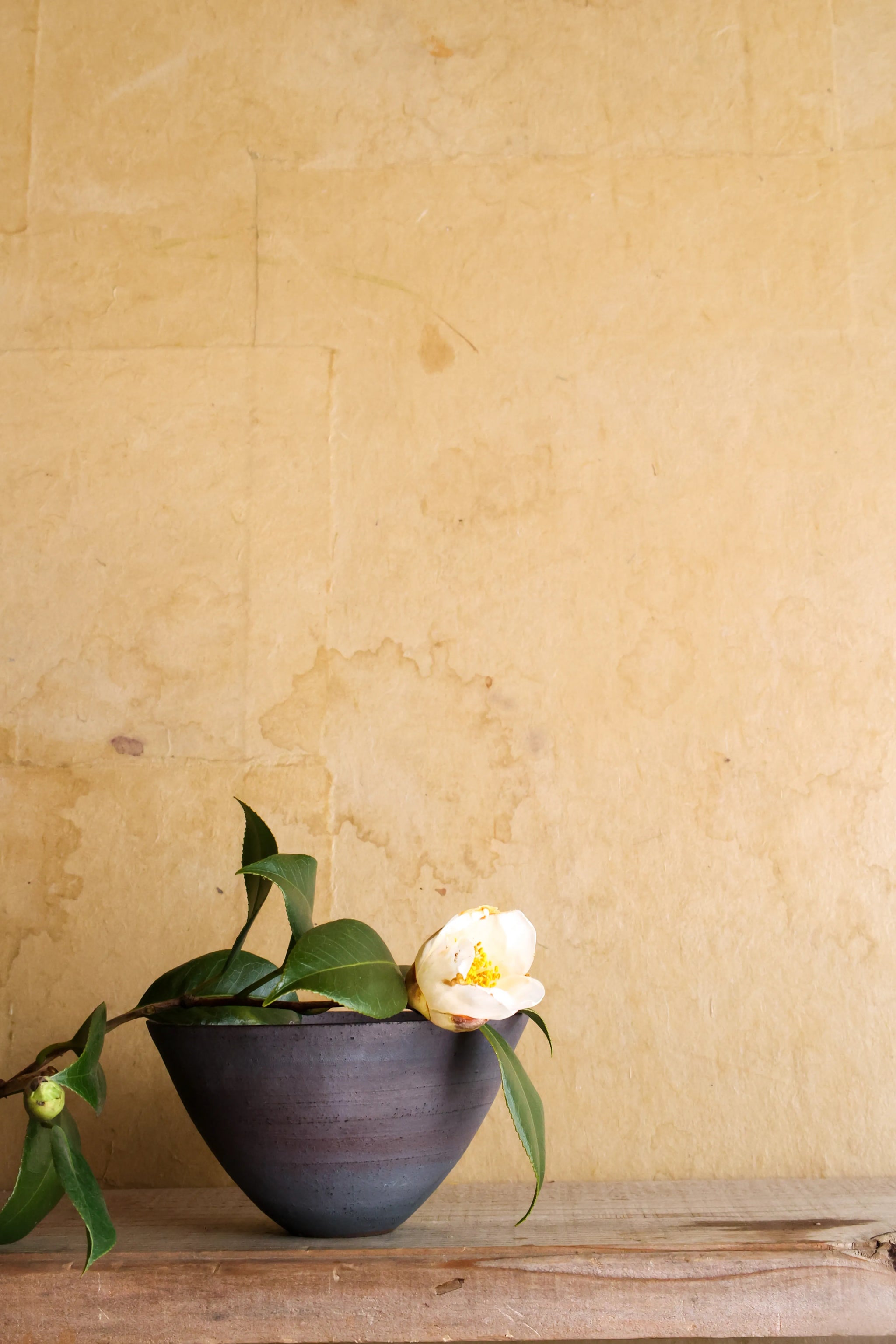 二階堂明弘 : no.06 錆器碗 – THE LITTLE SHOP OF FLOWERS