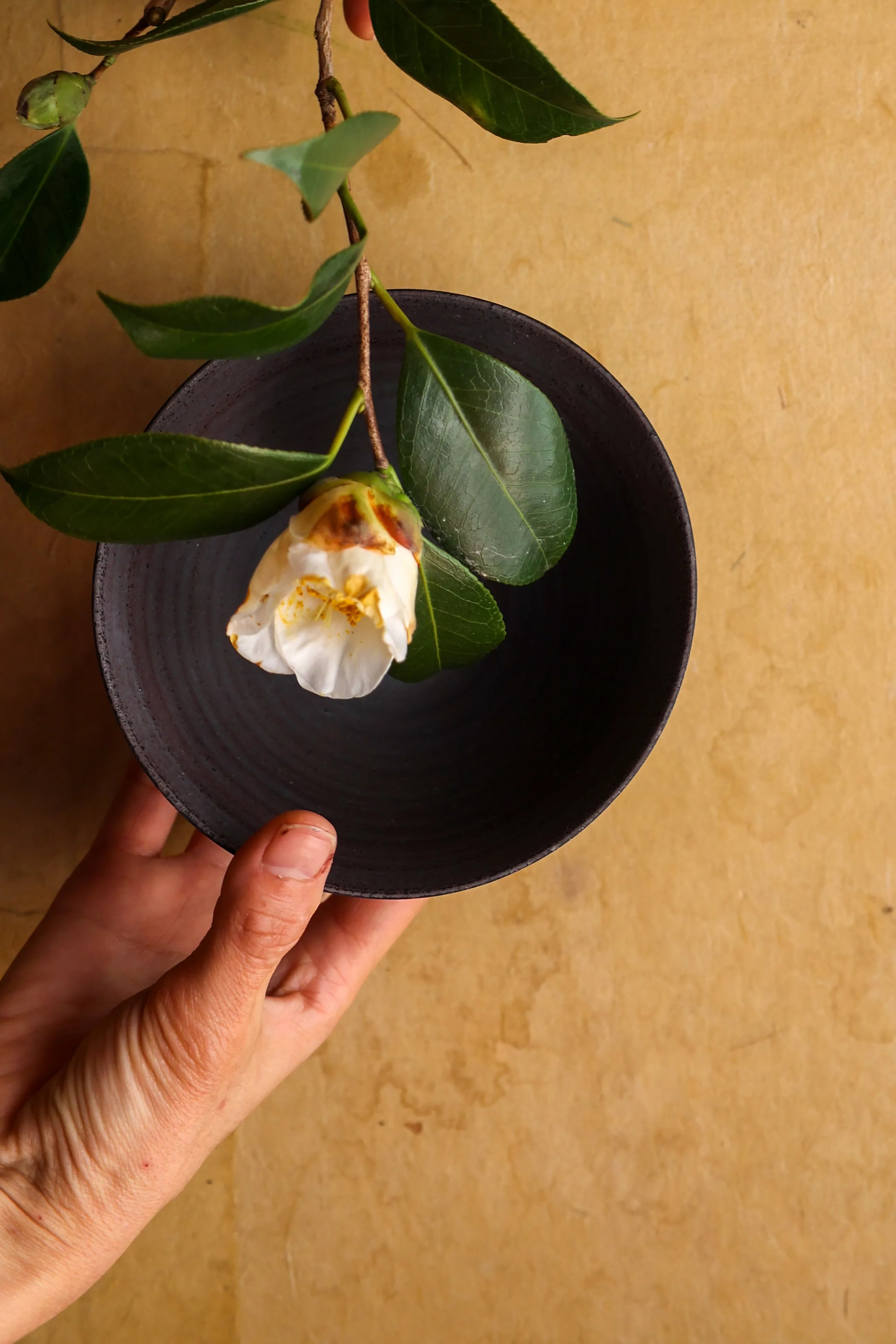 二階堂明弘 : no.06 錆器碗 – THE LITTLE SHOP OF FLOWERS