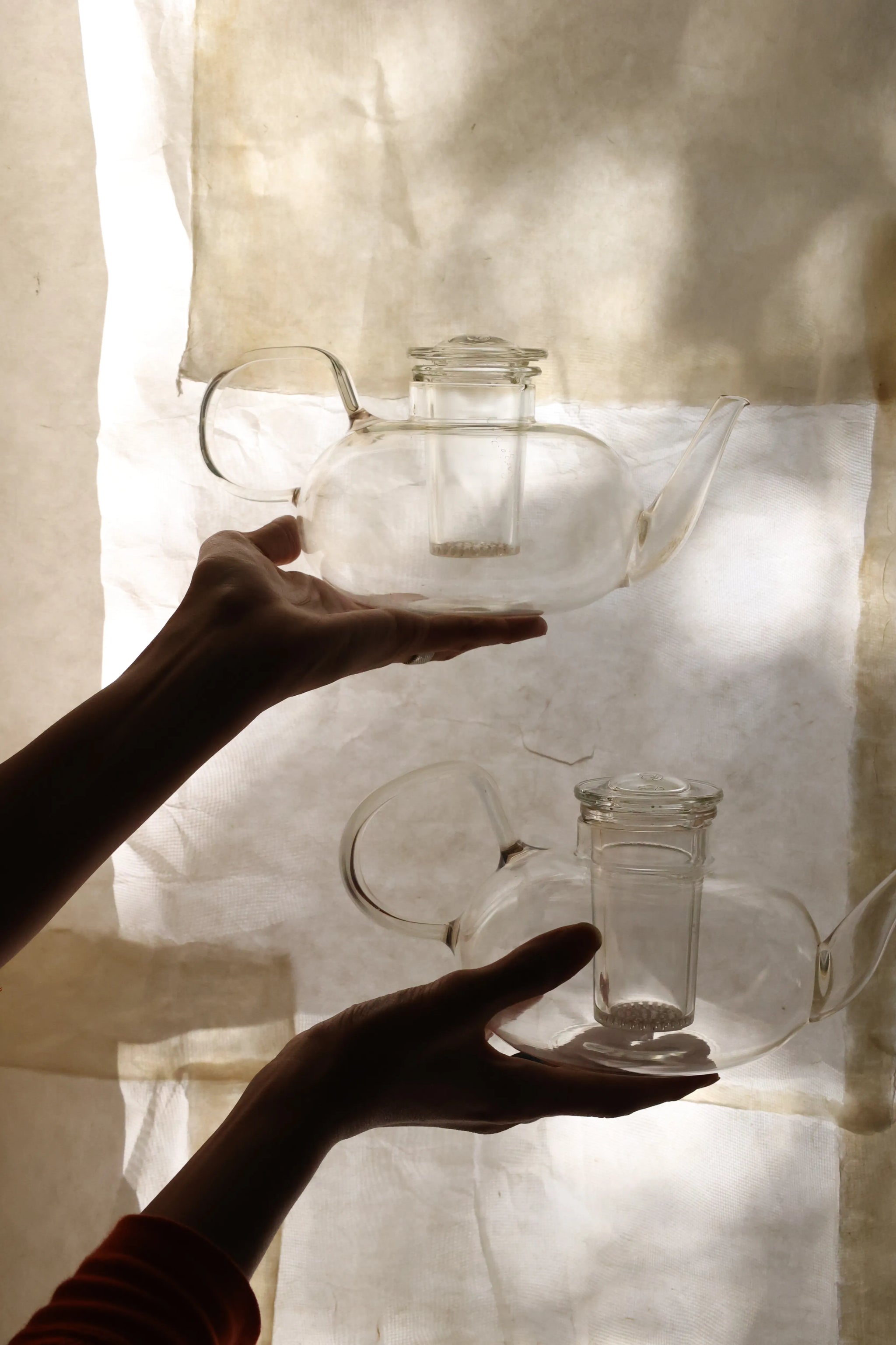  ウェッジウッド　ガラスポット　菓子入れ ワンダーラスト ウォーターリリー ティーポット|WEDGWOOD公式