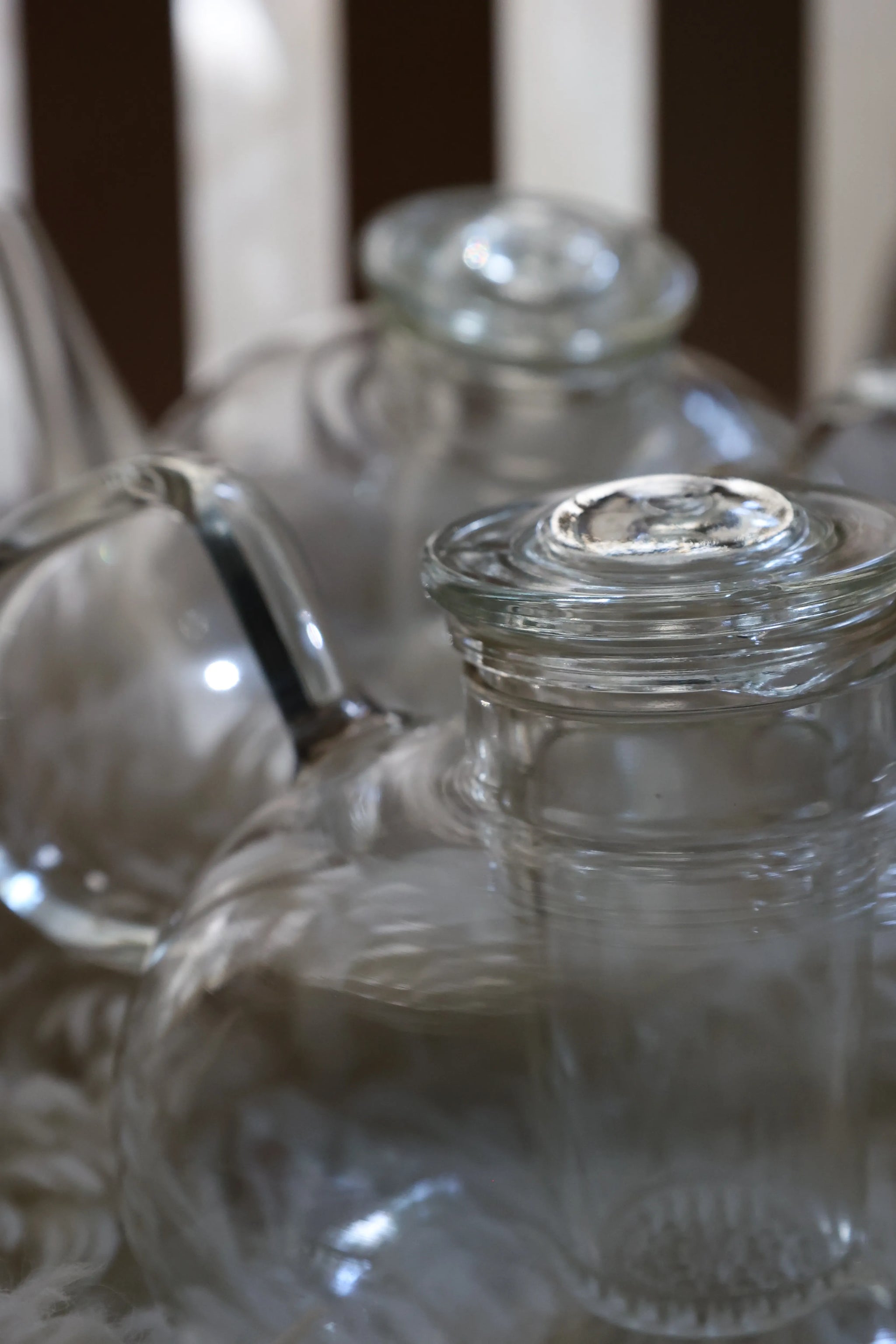  ウェッジウッド　ガラスポット　菓子入れ ワンダーラスト ウォーターリリー マグ|WEDGWOOD公式オンラインストア