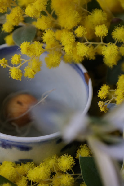 [1/18]“kintsugi workshop” 金継ぎワークショップ