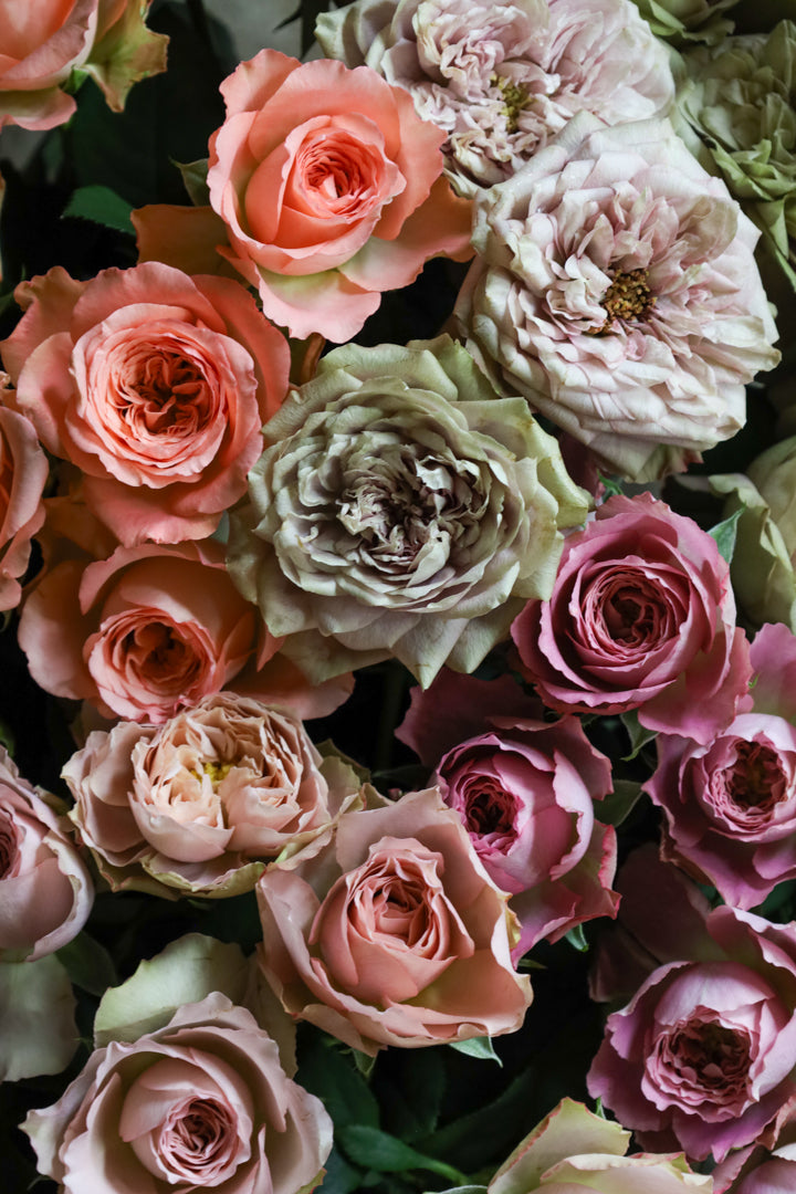 堀木園芸のrose bouquet – THE LITTLE SHOP OF FLOWERS