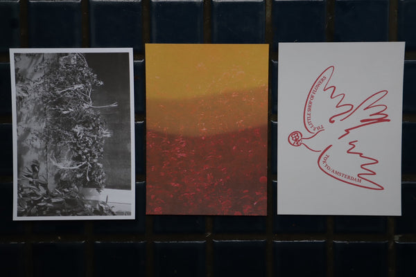 POSTCARDS printed (little peace pigeon)