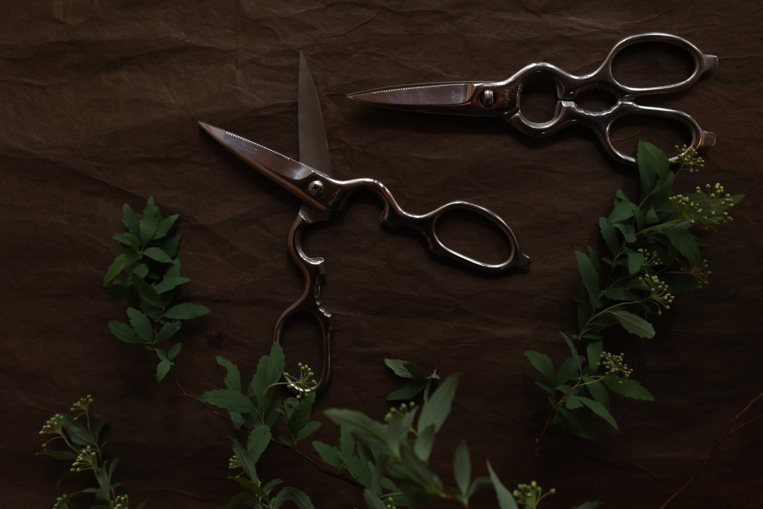 多鹿治夫鋏製作所] Tajika キッチンバサミ – THE LITTLE SHOP OF FLOWERS