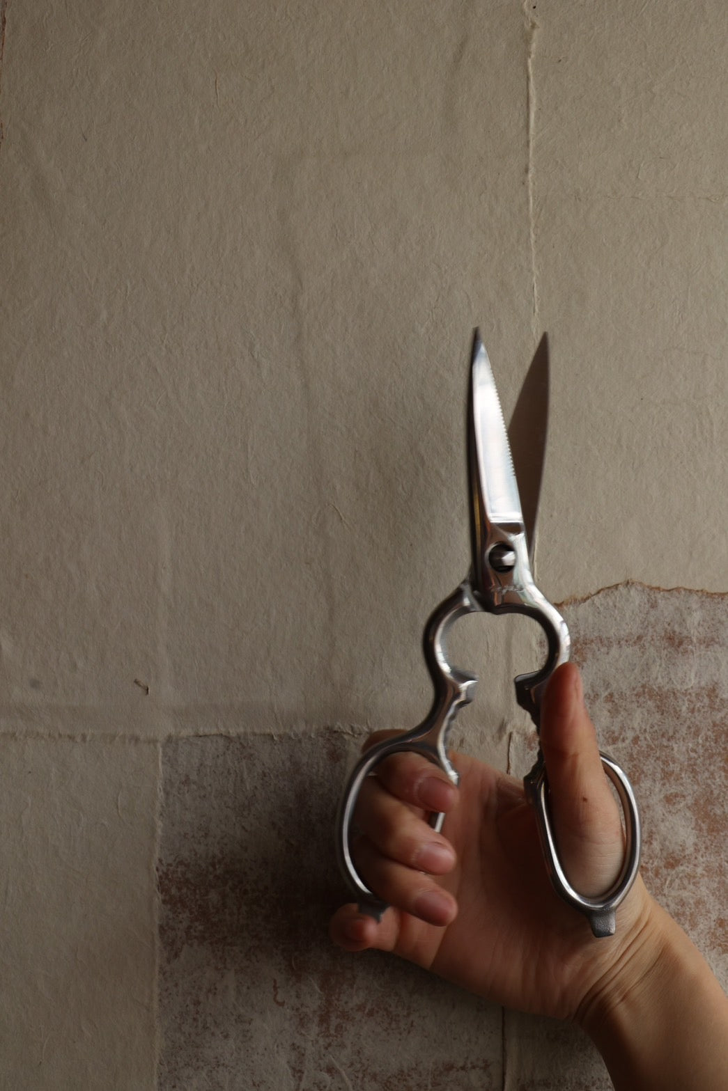 多鹿治夫鋏製作所] Tajika キッチンバサミ – THE LITTLE SHOP OF FLOWERS