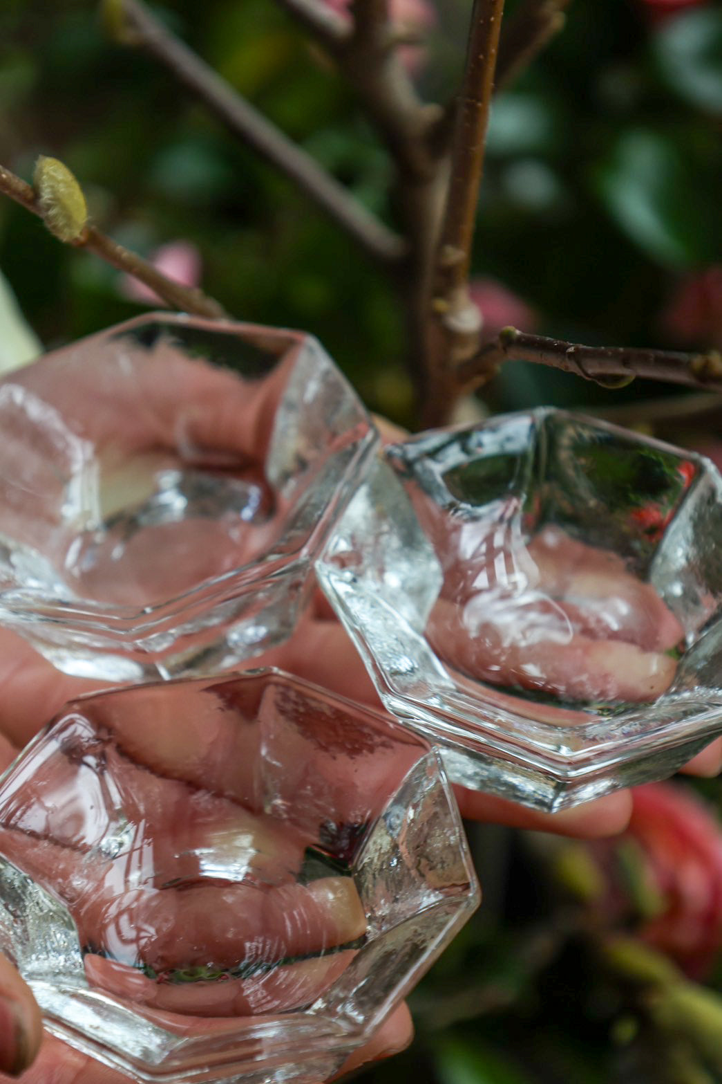 西山芳浩：No.10 八角豆皿 – THE LITTLE SHOP OF FLOWERS