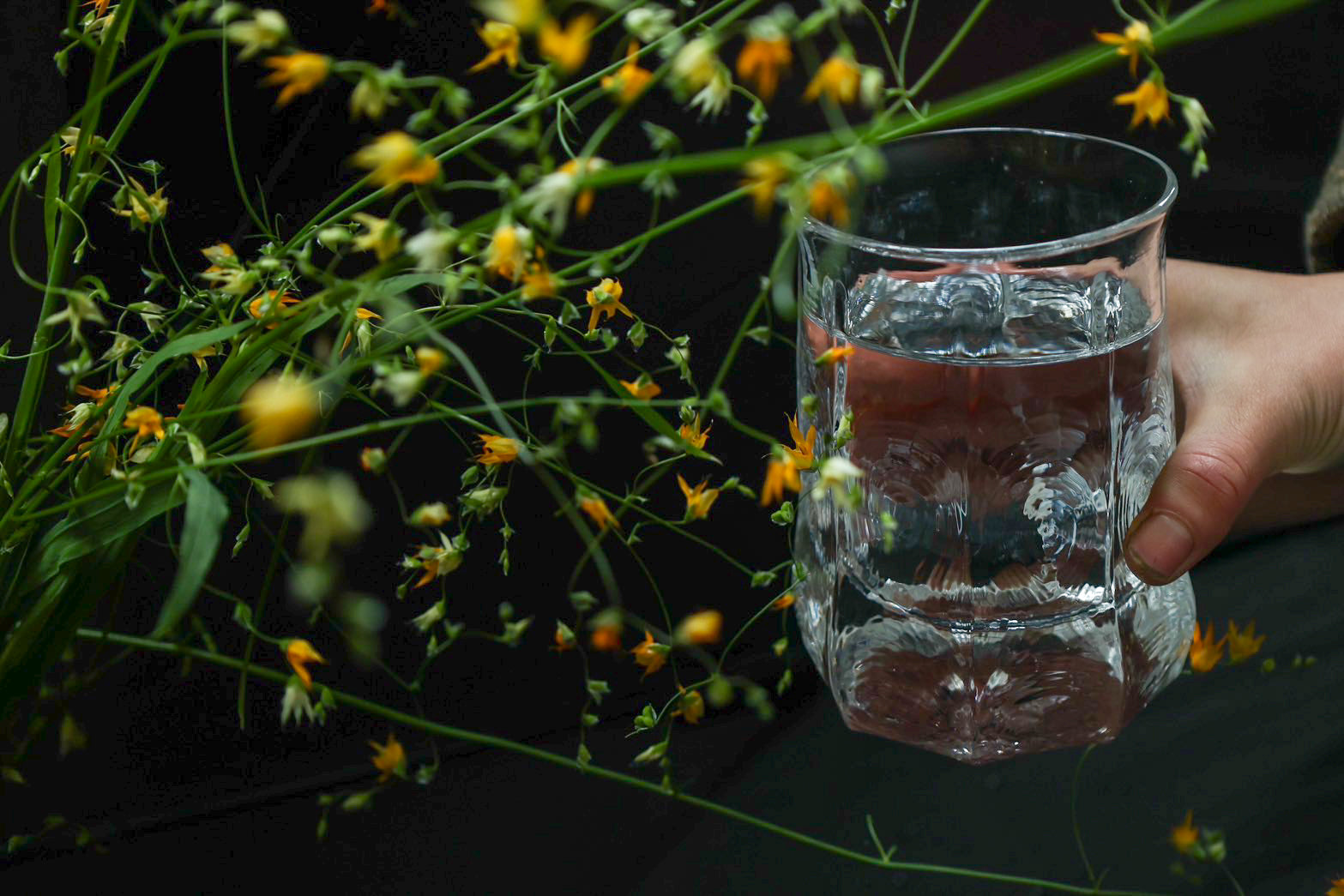 西山芳浩：No.17 八角グラス大 – THE LITTLE SHOP OF FLOWERS