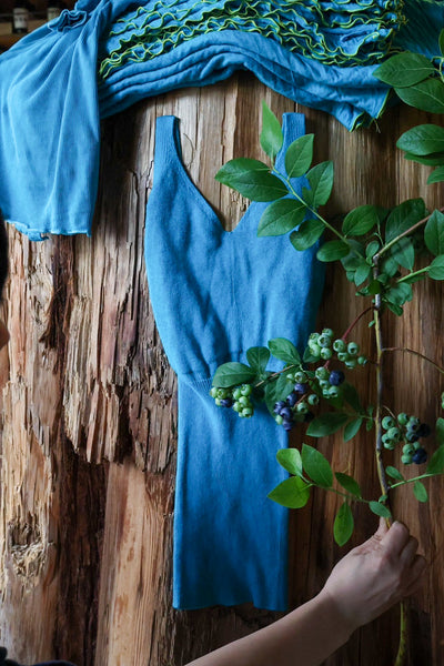 caption:blueberry blue