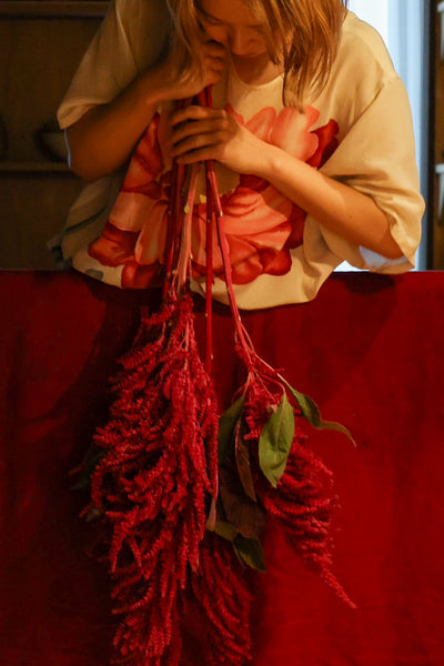 染めませんか？ [Amaranthus Bordeaux]