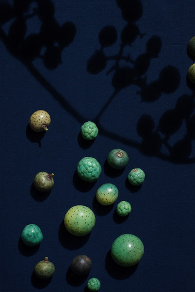 染めませんか？ [Wild Grape Blue]