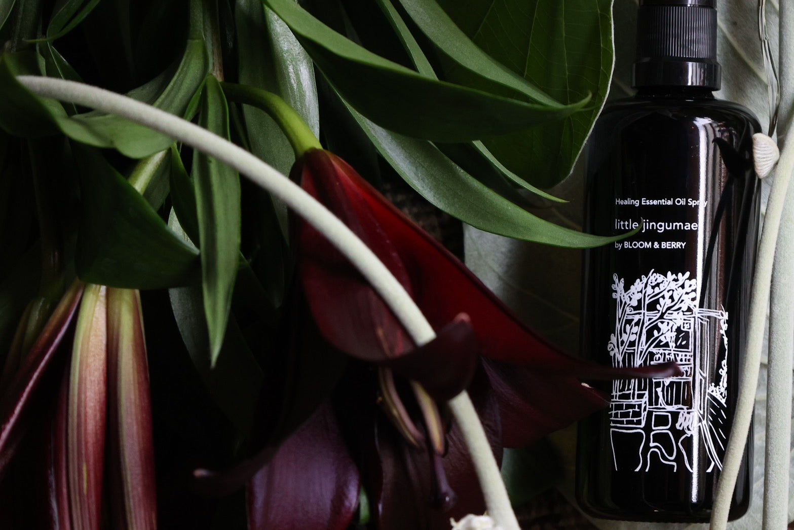 essential oil spray by Biovert – THE LITTLE SHOP OF FLOWERS