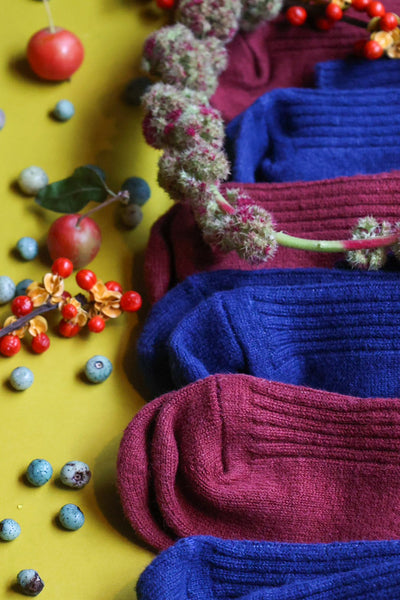 caption:野葡萄 / Amaranthus Bordeaux