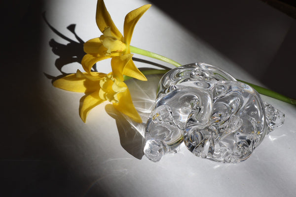 bon bon by Yoko Yamano [B]