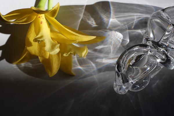 bon bon by Yoko Yamano [L]