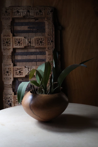 盛永省治 : no.12 樫ベース