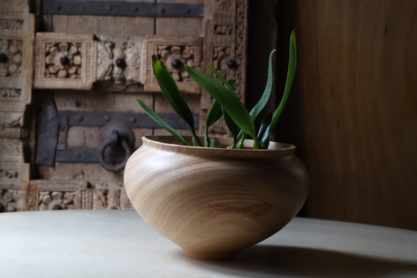 盛永省治 : no.10 楠ベース