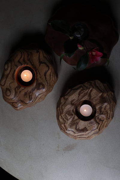 盛永省治 :  no.8 剣山 ゼブラウッド