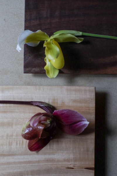 盛永省治 :  no.4 折敷小 とち