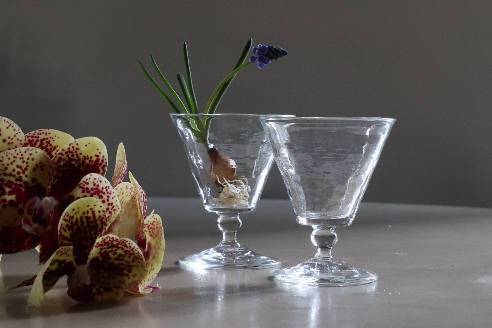 西山芳浩：No.3 ワイングラスB – THE LITTLE SHOP OF FLOWERS