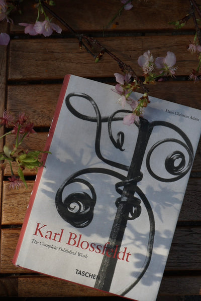 Karl Blossfeldt: The Complete Published Work Hans