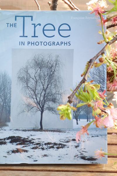 Francoise Reynau: The Tree in Photographs