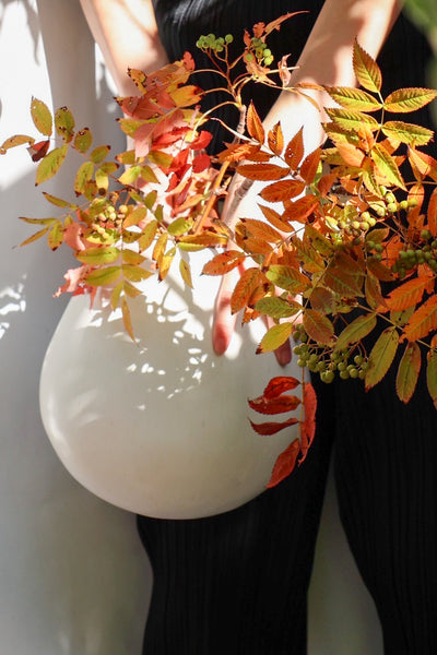 White vase round