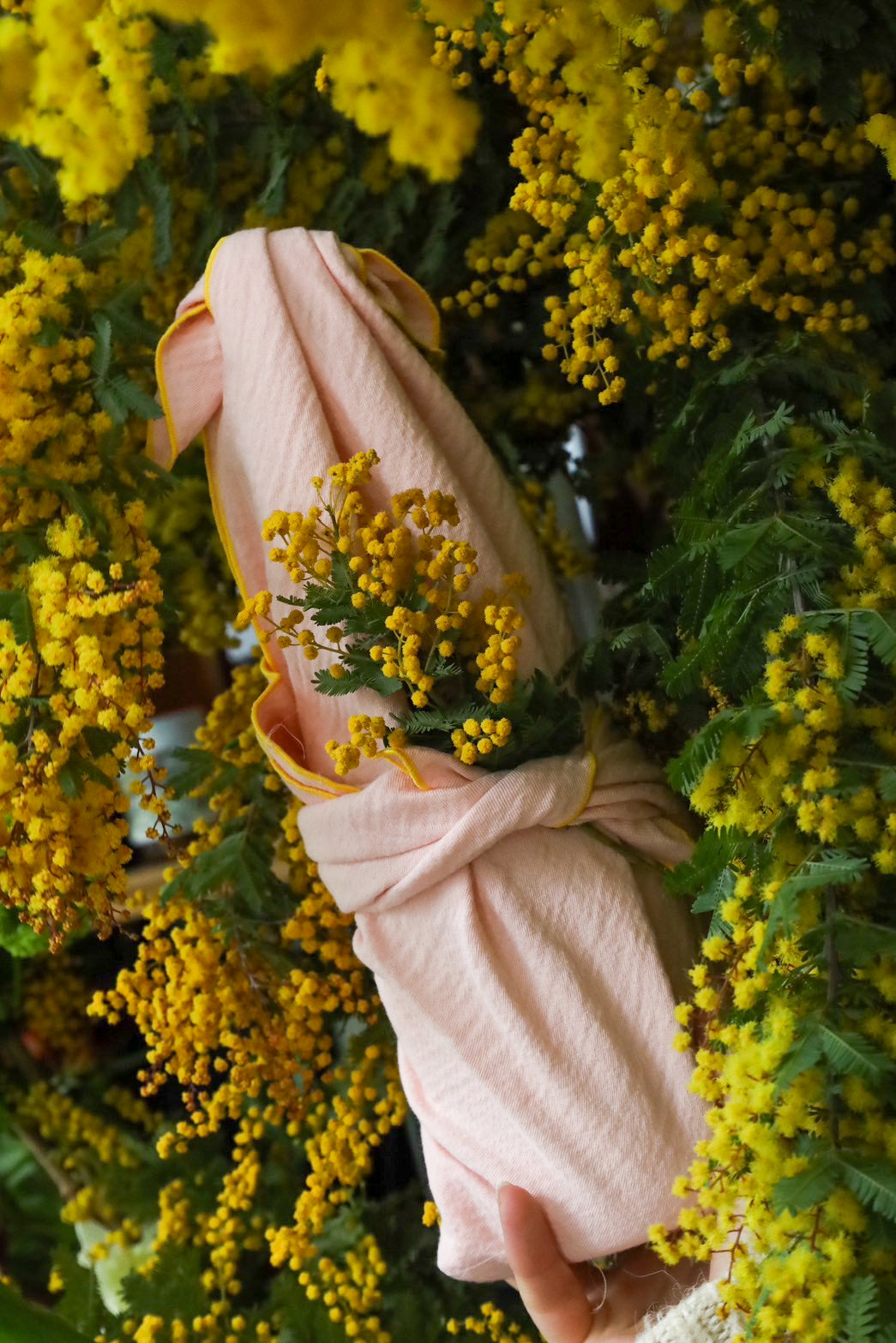 Blood Orange Juice -2026- – THE LITTLE SHOP OF FLOWERS