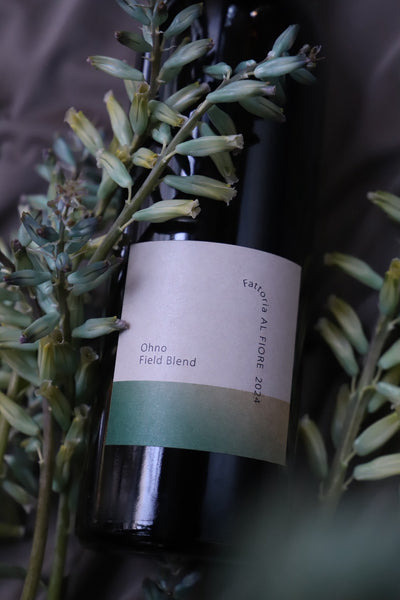 Ohno Field Blend 2024