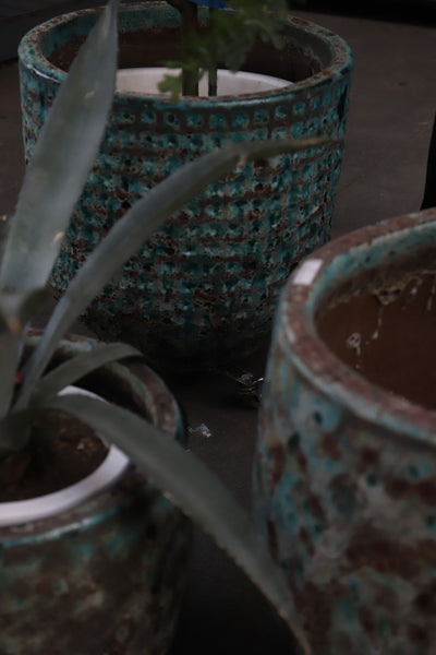 [リトル便] plant pot 9