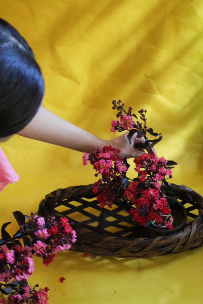 花かご No.48