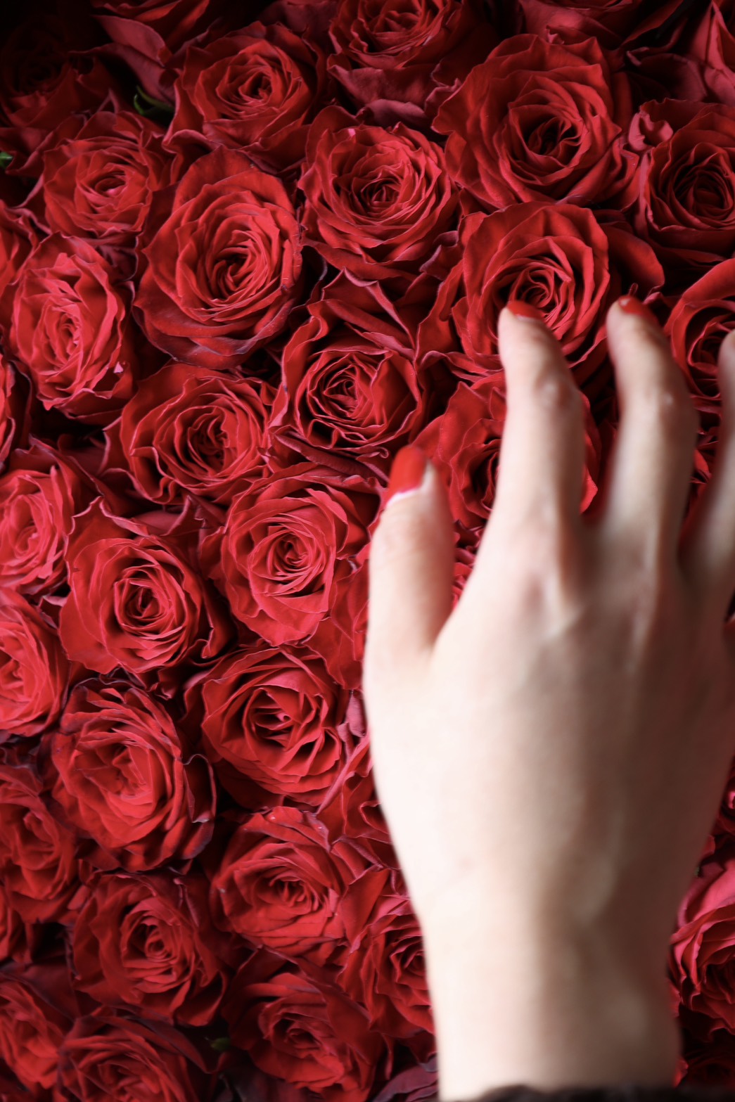 red rose bouquet – THE LITTLE SHOP OF FLOWERS