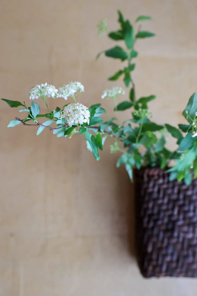 Wild grape basket [Hishi vertical] & Seasonal flower set