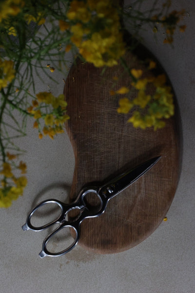 Tajika Kitchen Scissors