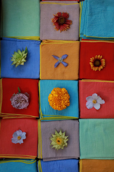 Botanical Multi Cloth