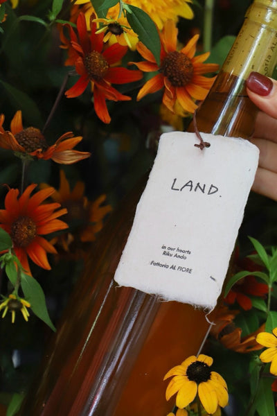 LAND. 2024