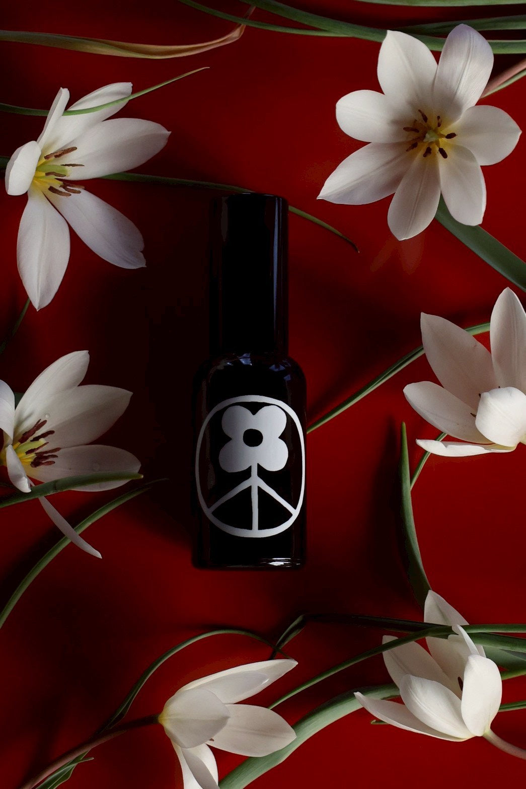 Nest - little peace – THE LITTLE SHOP OF FLOWERS