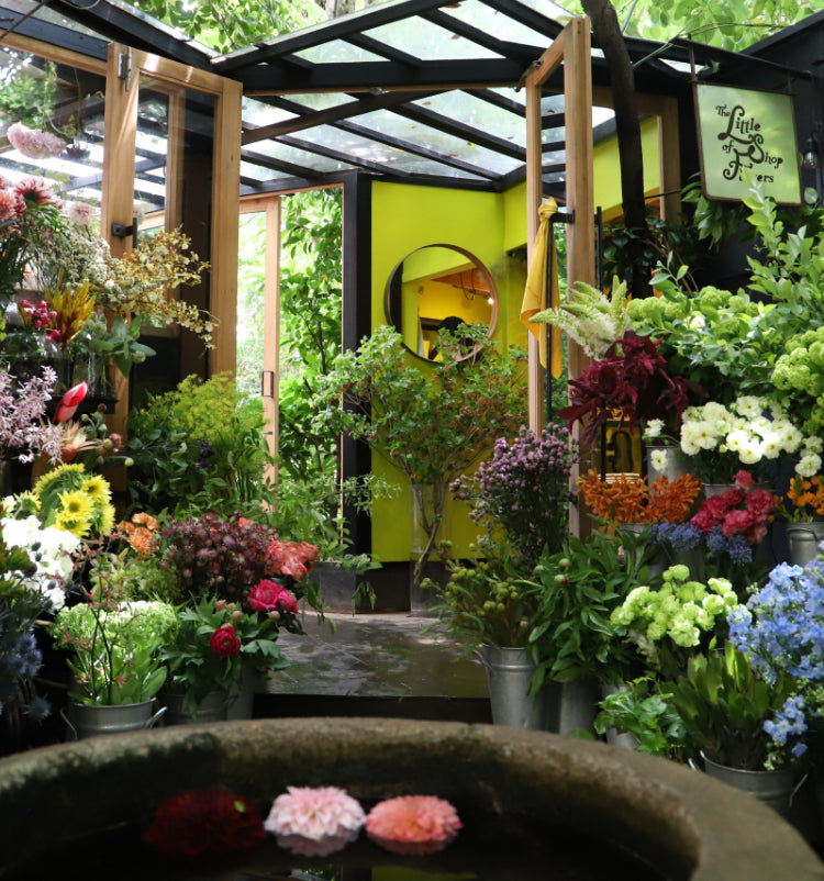 flowers – THE LITTLE SHOP OF FLOWERS