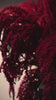 染めませんか？ [Amaranthus Bordeaux]