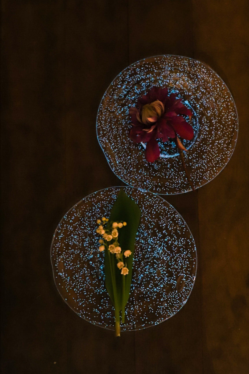 天気の器：皿 Capturing Sunshine – THE LITTLE SHOP OF FLOWERS